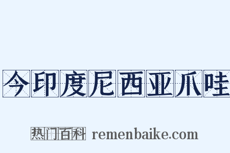 今印度尼西亚爪哇是什么意思的图片
